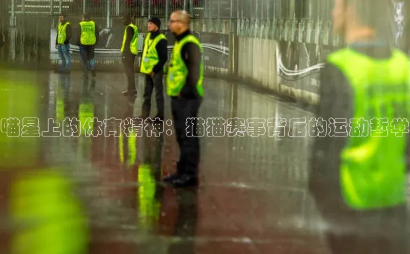 耀世平台注册开户中海达喵星上的体育精神：猫猫赛事背后的运动哲学