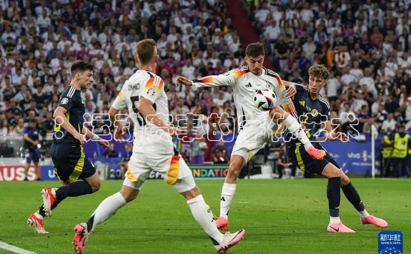 ：运动赛事的字体艺术