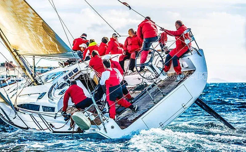 京东助力：运动的无限可能——2023年京东赞助赛事精选盘点