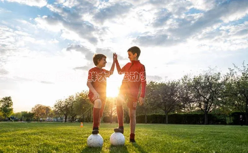 朝日对决：探讨朝鲜大型运动赛事的文化与历史背景