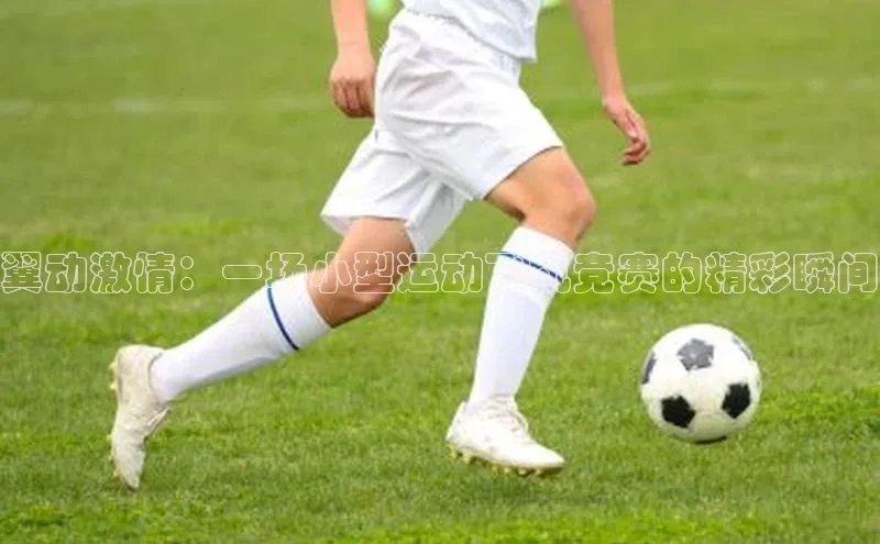 翼动激情：一场小型运动飞机竞赛的精彩瞬间