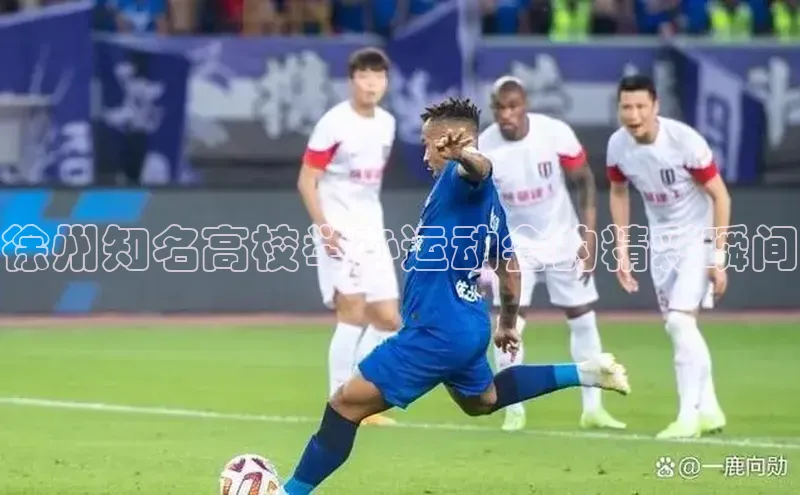 徐州知名高校举办运动会的精彩瞬间