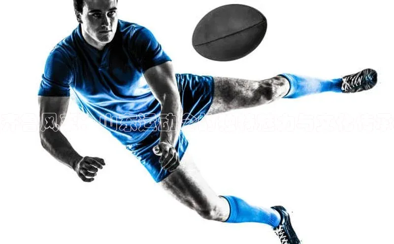 齐鲁风采：山东运动会的独特魅力与文化传承