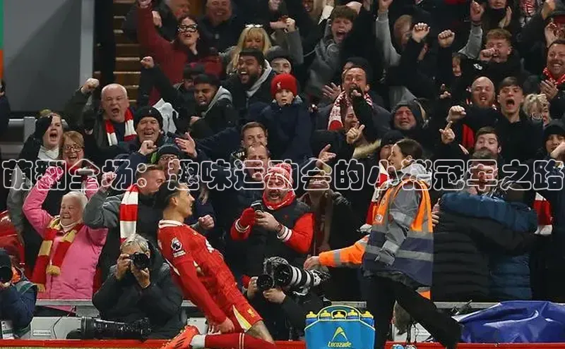 萌翻全场：趣味运动会的小猪冠军之路