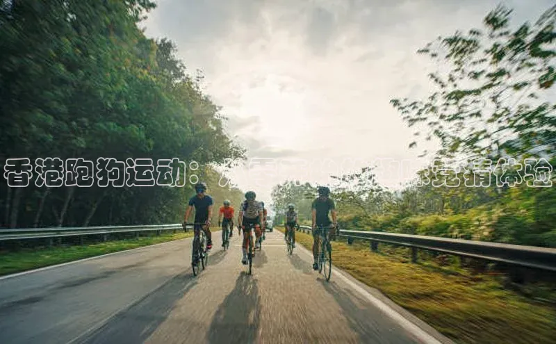 香港跑狗运动：从零开始的趣味竞猜体验