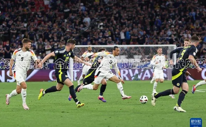 辉煌传承：合肥掼蛋运动的历史与现代风采