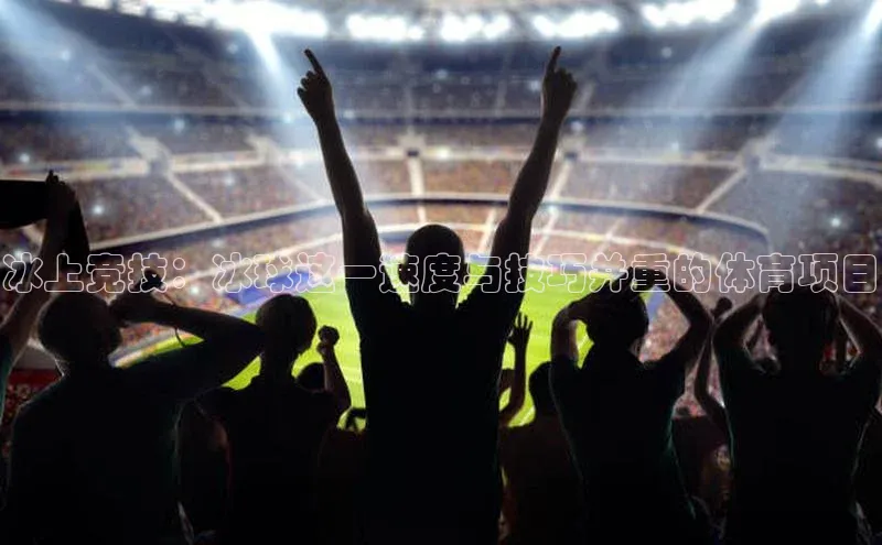 冰上竞技：冰球这一速度与技巧并重的体育项目